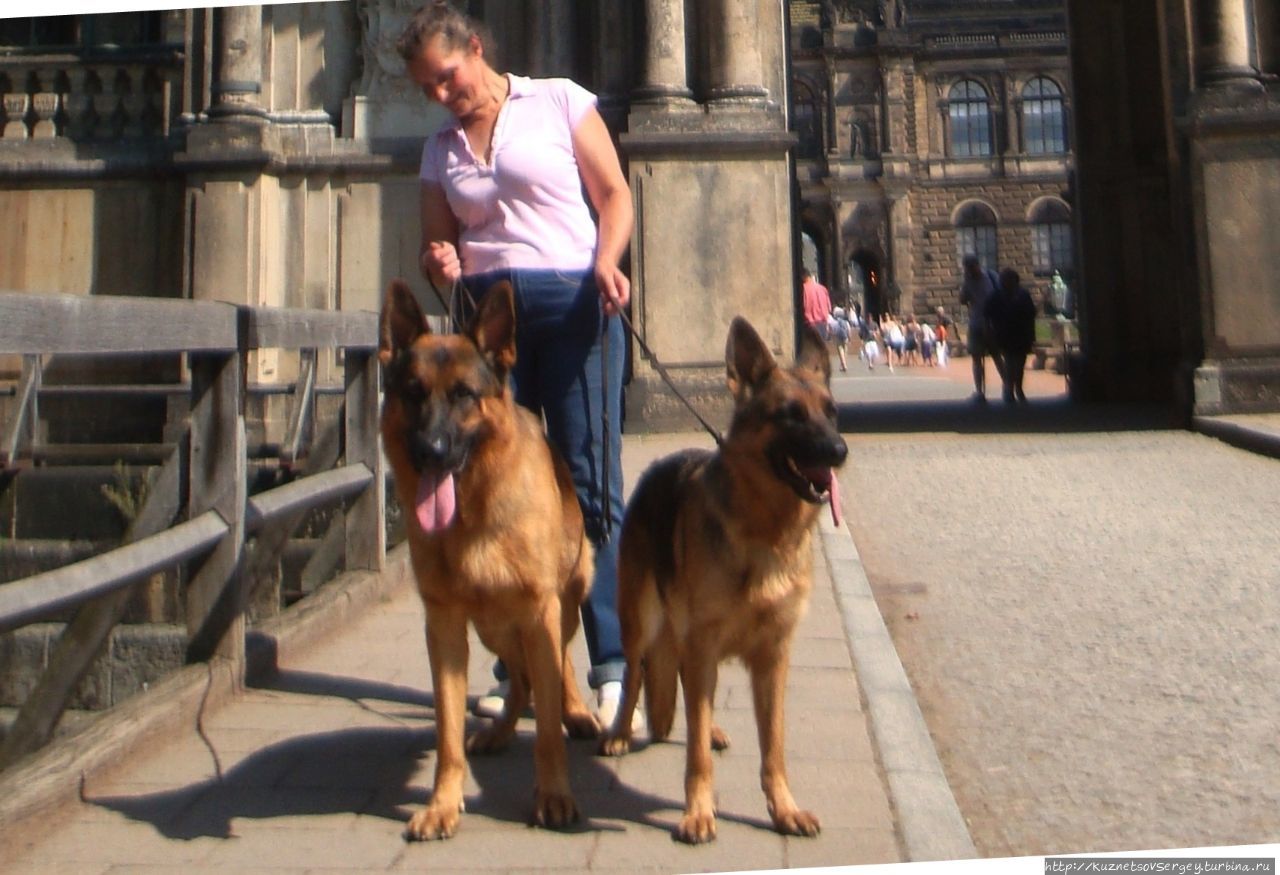 По Саксонии: Снова в Дрездене Дрезден, Германия