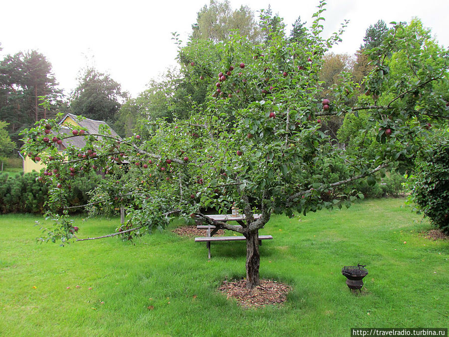 Микельторнис Латвия