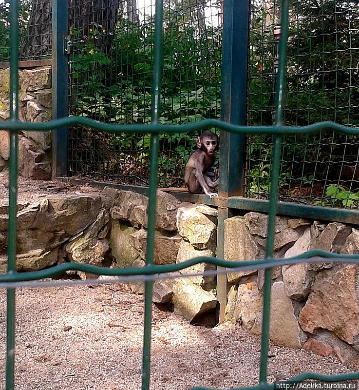 100-летний Рижский Зоопарк Рига, Латвия
