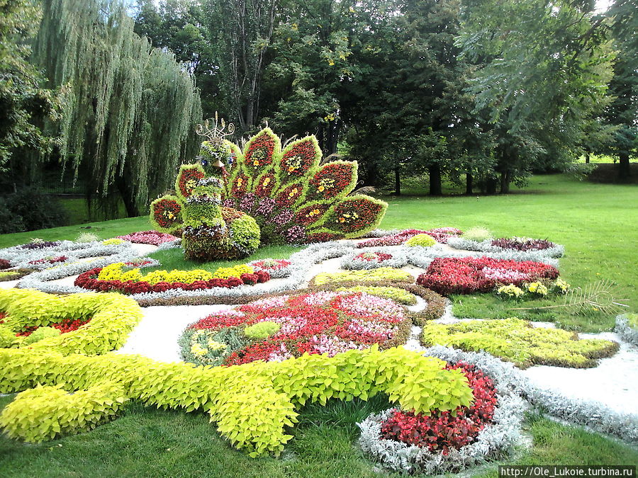 Выставка цветов-2012  — красиво, ярко, многолюдно Киев, Украина