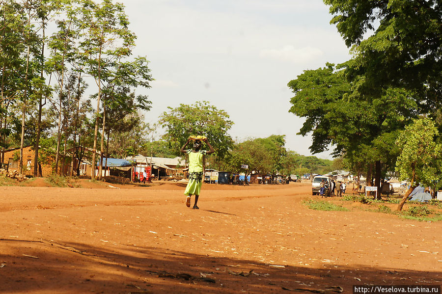 Танзания. Продолжение Танзания