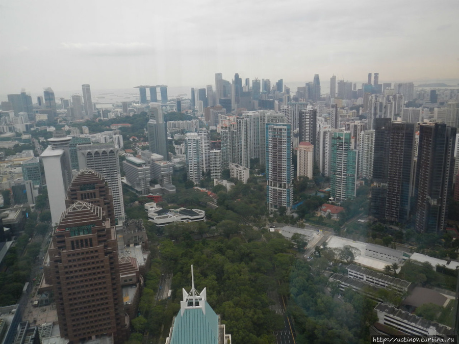 Сингапур — страна небоскребов,штрафов, запретов и инструкций Сингапур (город-государство)