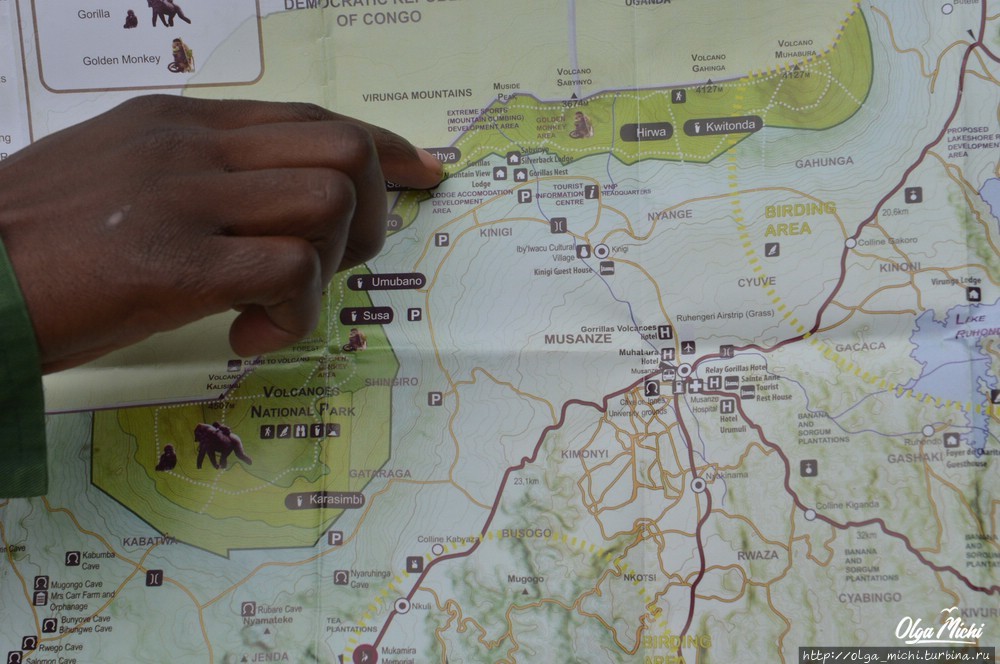 Уганда и Руанда: экспедиция к горным гориллам
