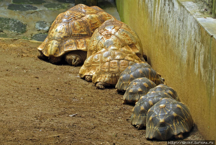 по ранжиру ... ложись:)))