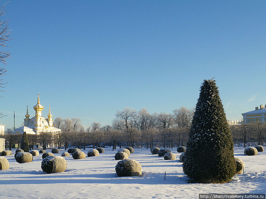 Уснувший Верхний сад Петергофа Петергоф, Россия