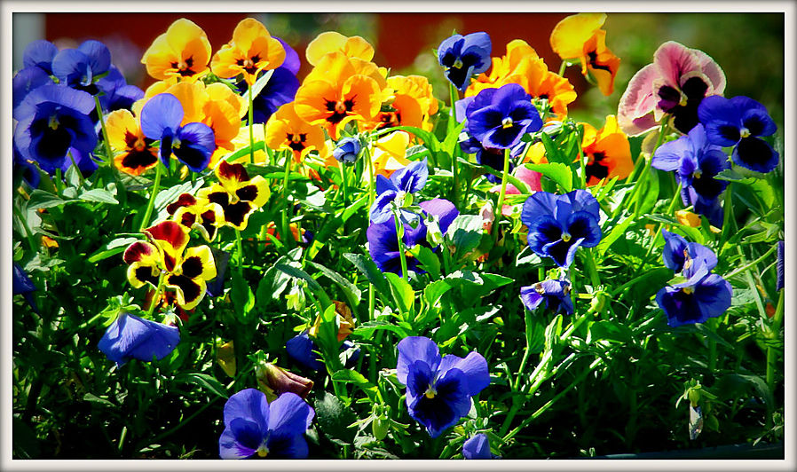 Где прячется душа женщины