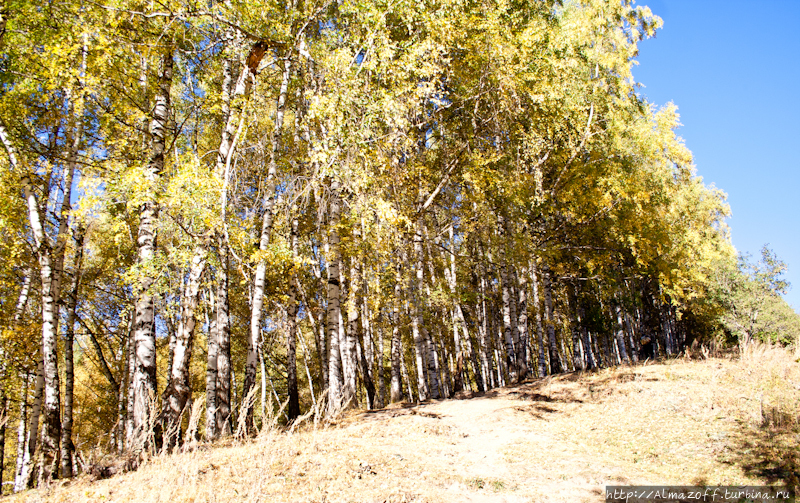 урочище Кок-Джайляу Иле-Алатауский Национальный Парк, Казахстан