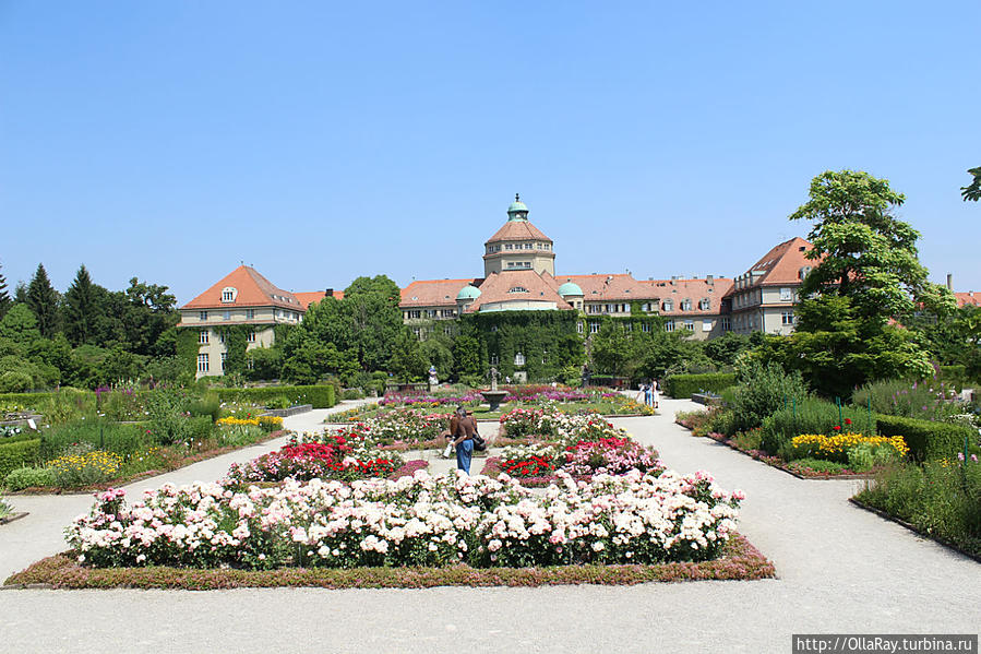 Ботанический сад Мюнхен — Нимфенбург Мюнхен, Германия