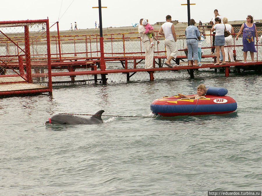 Дельфинарий Большой Утриш, Россия