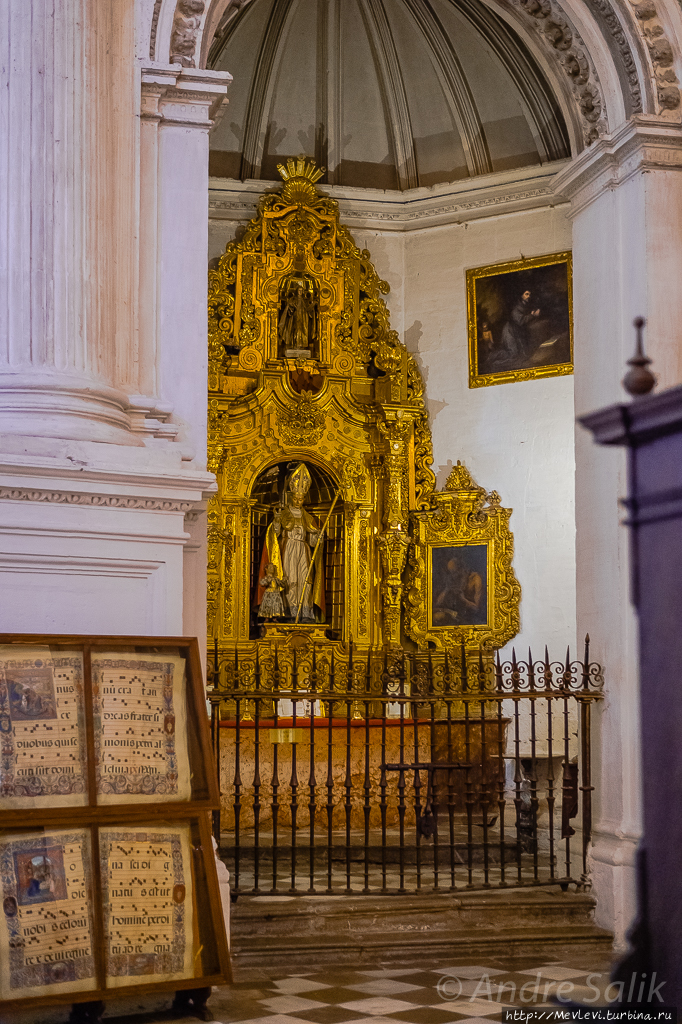 Собор в Гранаде, Испания Гранада, Испания