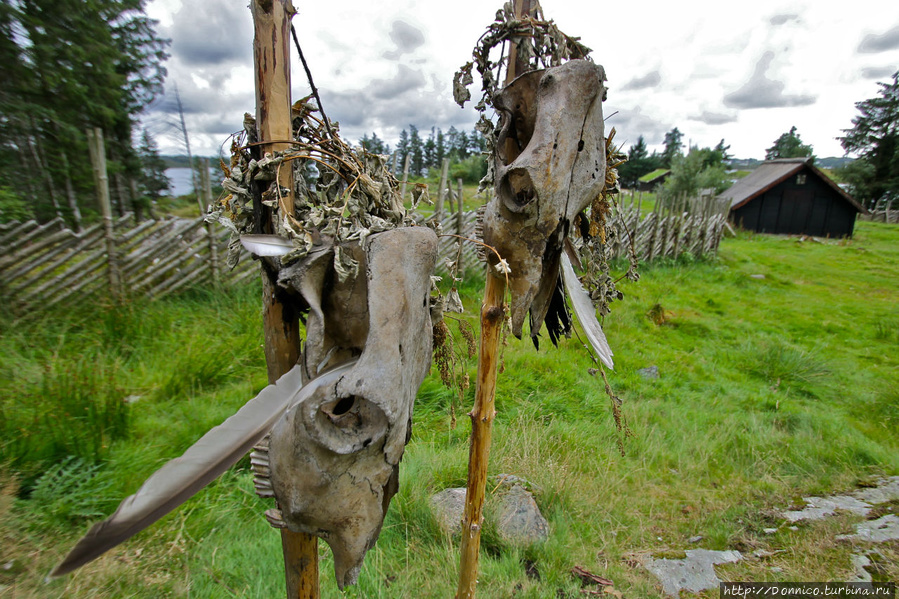 Деревня викингов на острове Буккоя / Viking village on island of Bukkoya