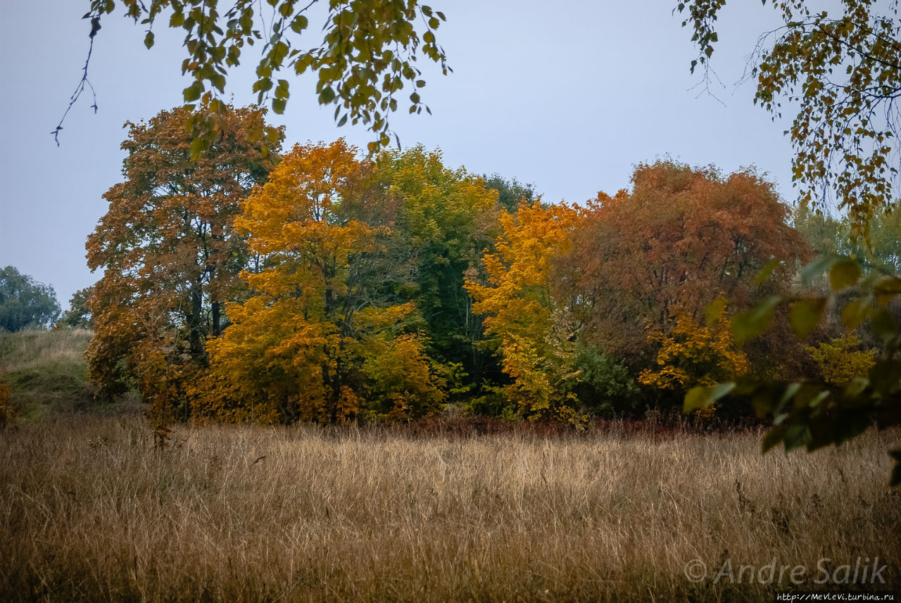 Красивая осень!!! Рига, Латвия