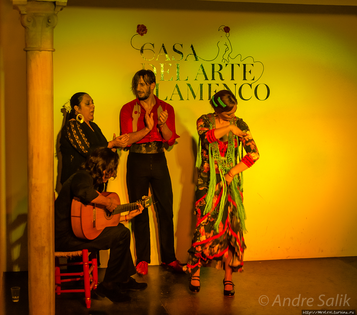 Casa del Arte Flamenco Гранада, Испания