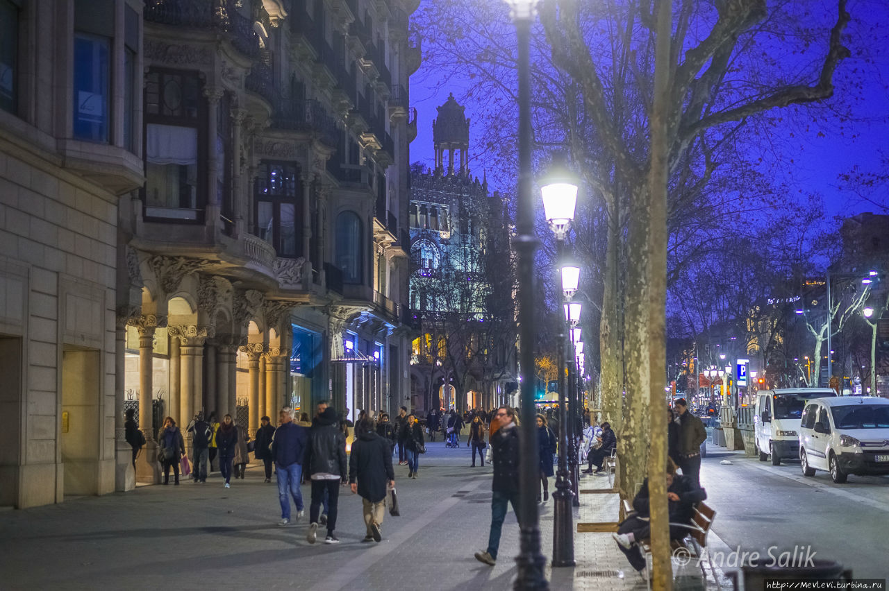Февральская Барселона Барселона, Испания