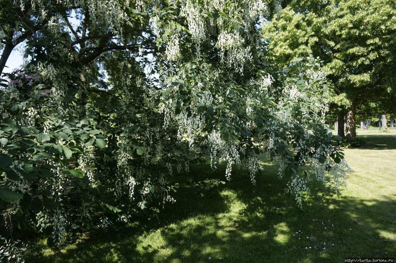 Горный сад Ганновер, Германия