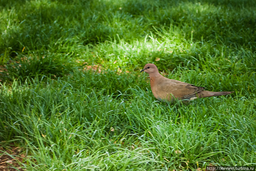Мавзолей Бабы Тахер Орьяна в Хамадане Хамадан, Иран
