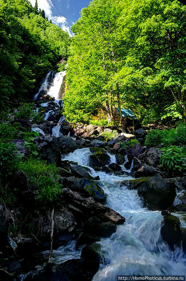 Молочный водопад Рица Реликтовый Национальный Парк, Абхазия