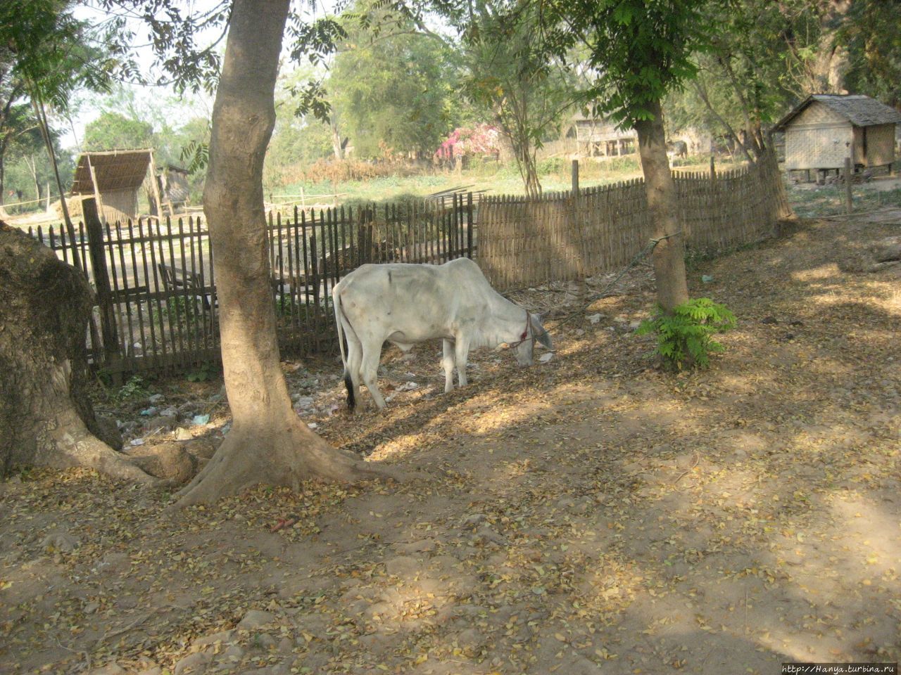 Дорога к руинам Королевского дворца Авы Ава, Мьянма