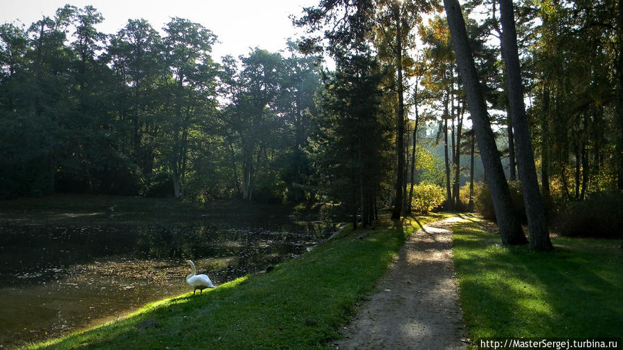 Осень в Паланге Паланга, Литва