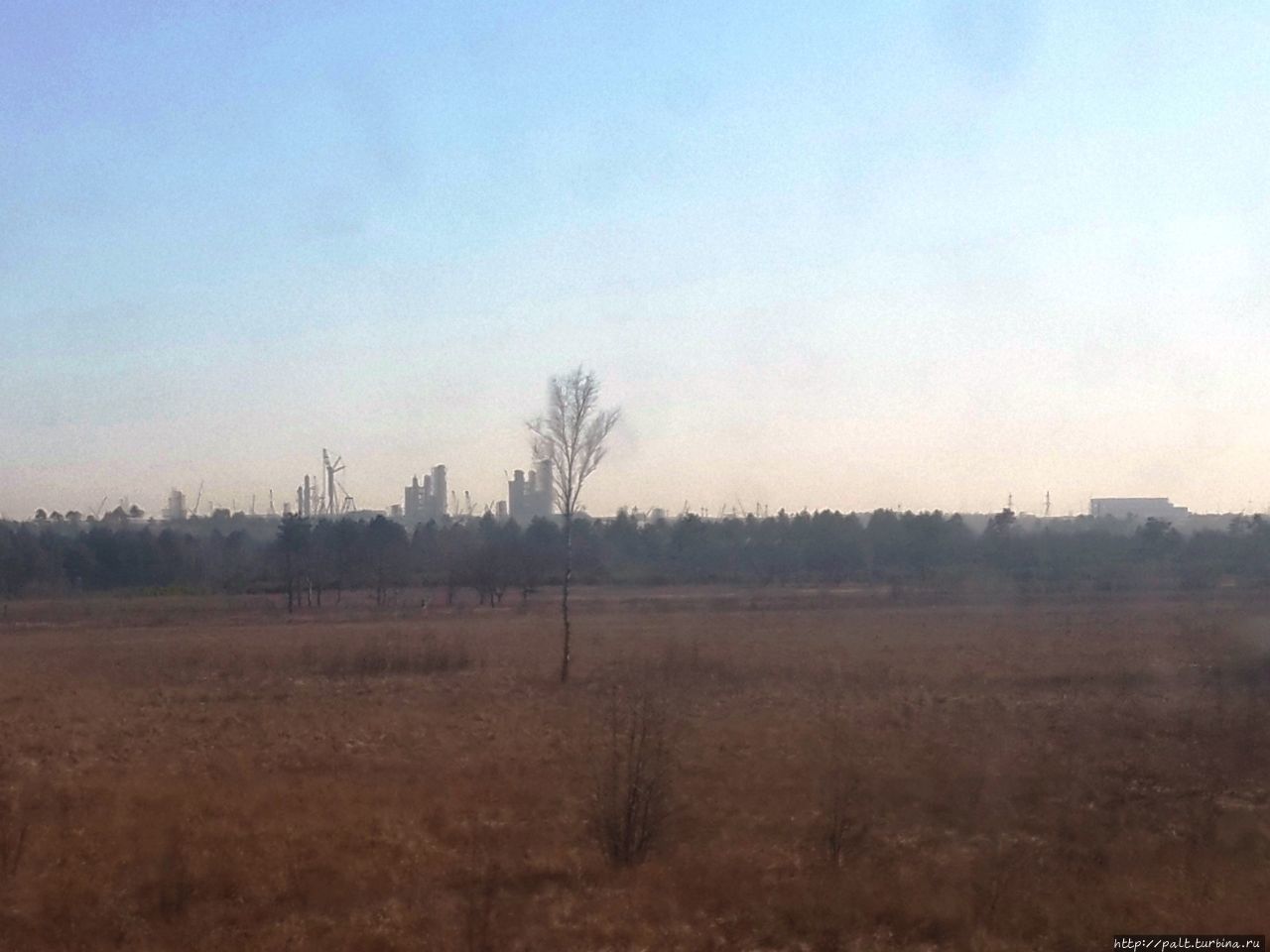 Эти футуристические контуры, видимые из окна поезда,  вряд ли космодром Восточный. Скорее всего, именно город Циолковский. Но, согласитесь, что-то космическое в них, определенно, есть. Россия