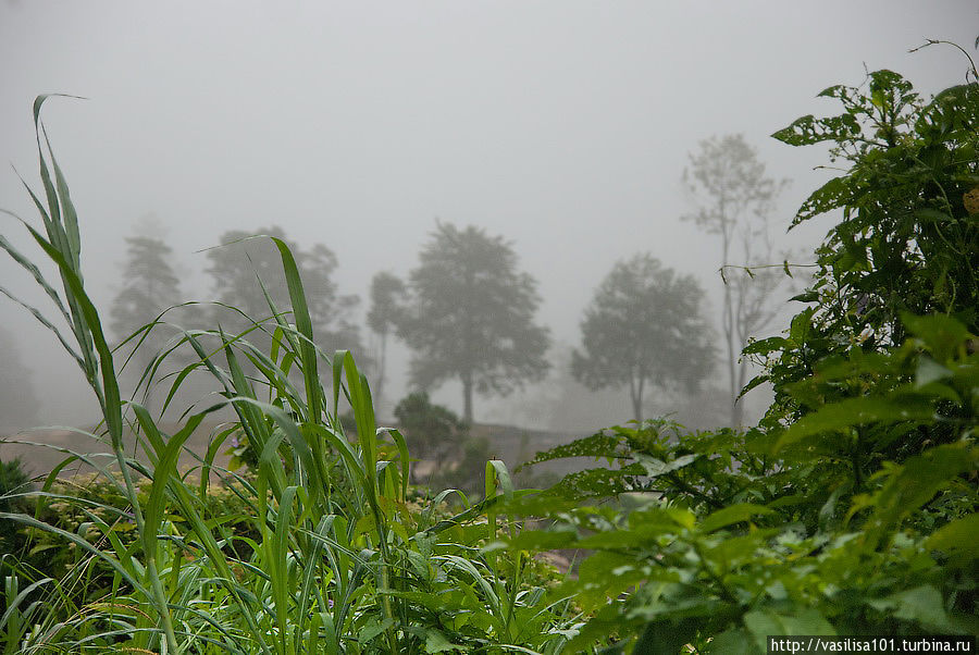 Танах-Рата: город, водопад и дождевой лес Танах-Рата, Малайзия