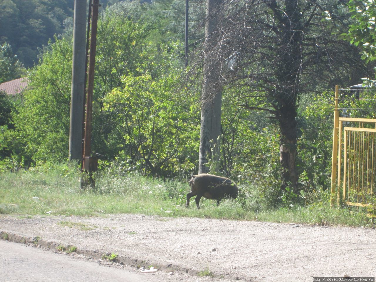 Прогулка к шахте и мосту через реку Ткибулу Ткибули, Грузия