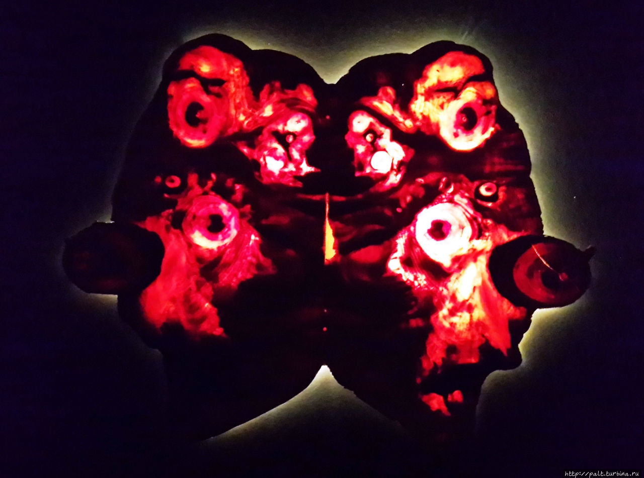 Ночные цветы