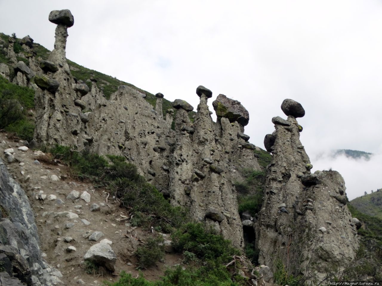 Урочище каменных грибов. Горный Алтай. Аккурум урочище каменных грибов, Россия