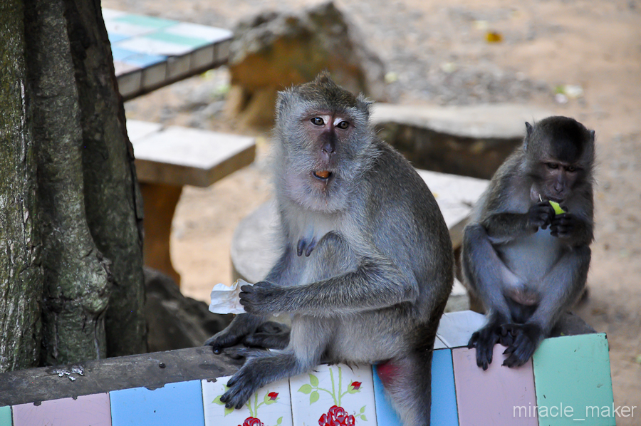 Чего смотришь?! Давай еще конфету.