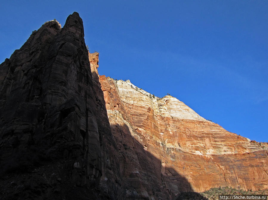 Погружение в каньон Зион. Zion Canyon Scenic Drive Национальный парк Зион, CША