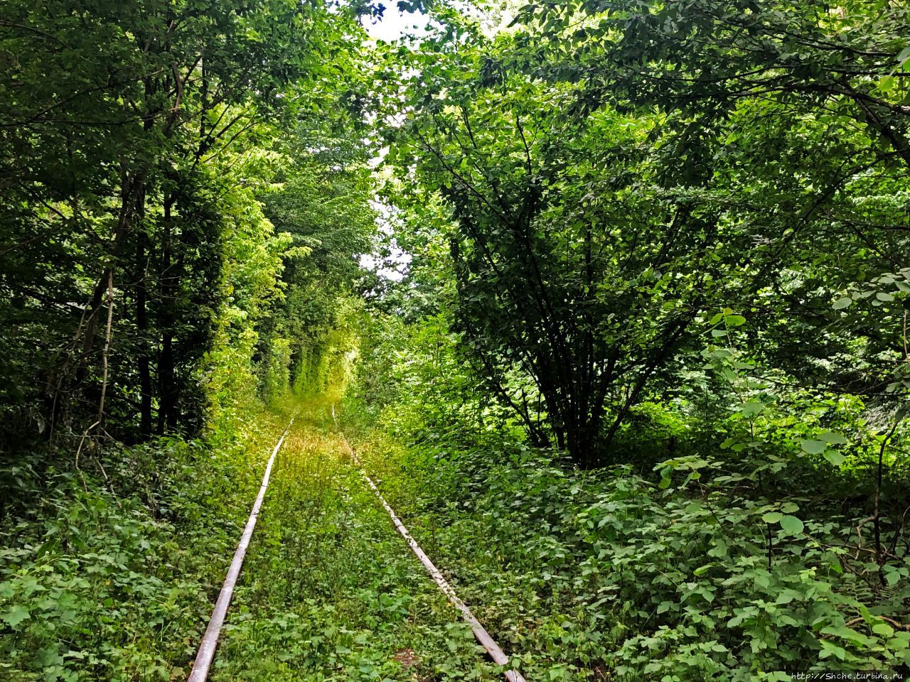 Тоннель любви Оржев, Украина