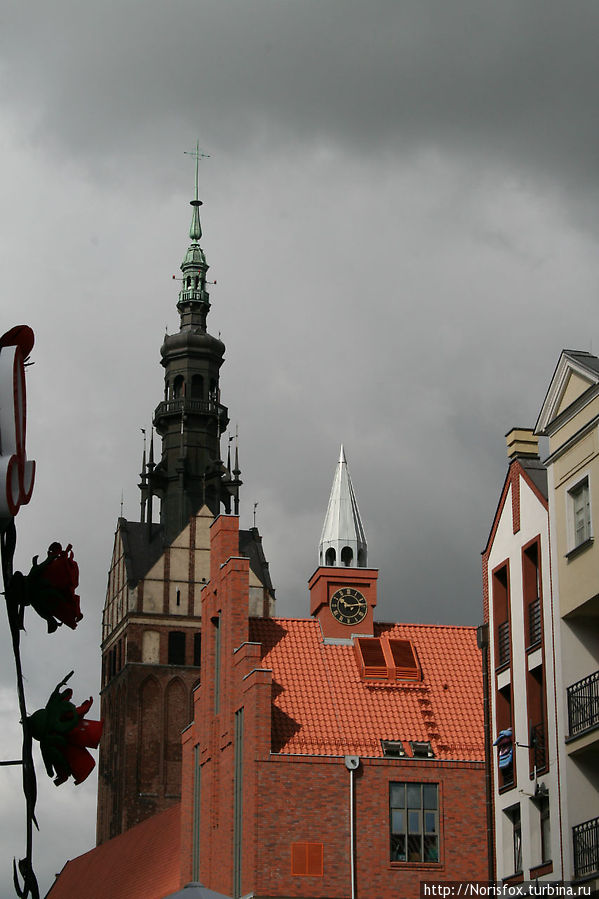 Проселочные дороги Польша