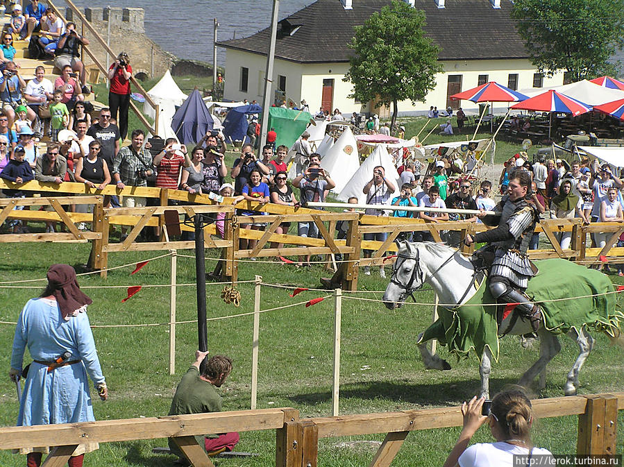Рыцарский турнир на фестивале 