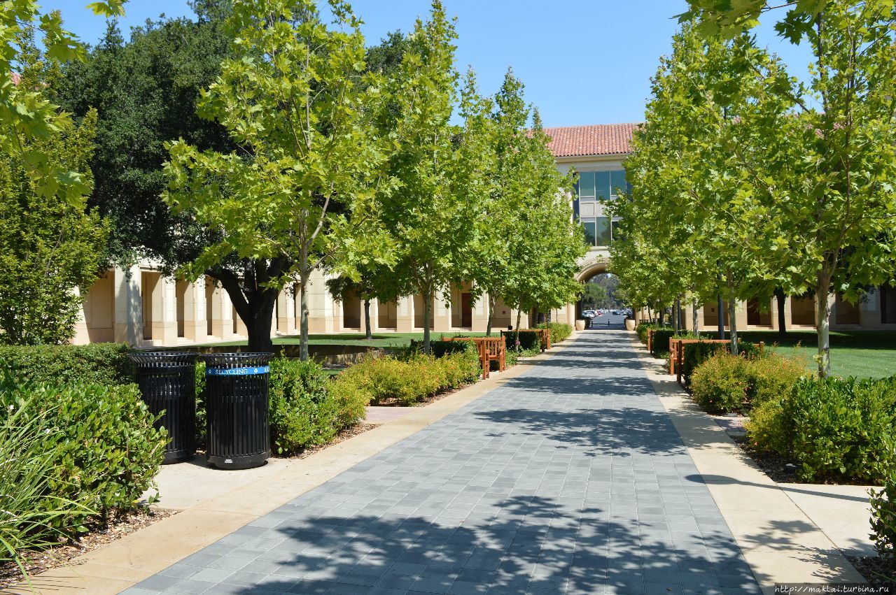Самый,самый университет самого,самого штата Америки.Стэнфорд Пало-Альто, CША