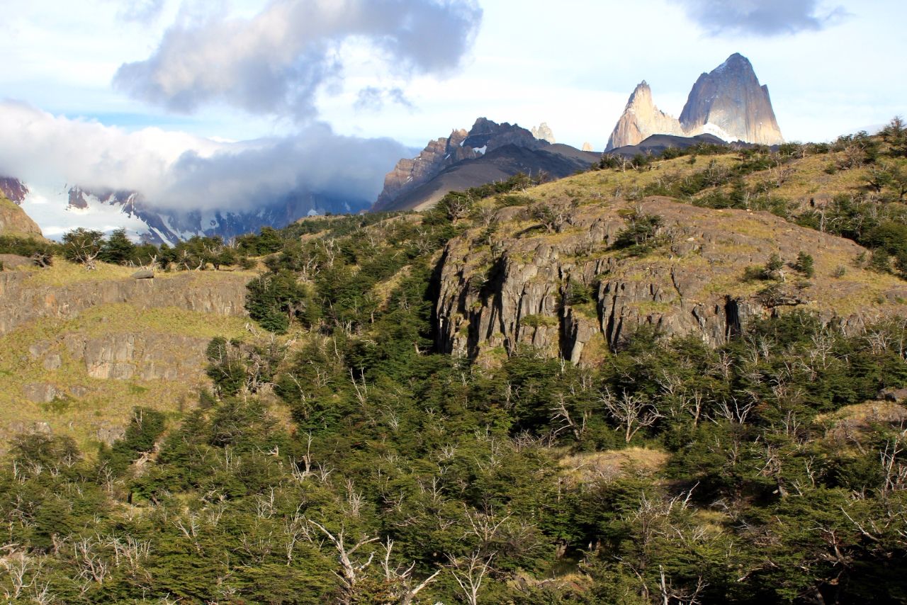 Тропа к Лагуне Торре Лос-Гласьярес Национальный парк, Аргентина