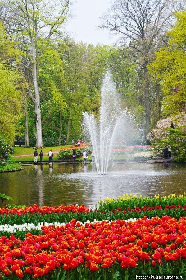 Королевский парк цветов  Кёкенхоф