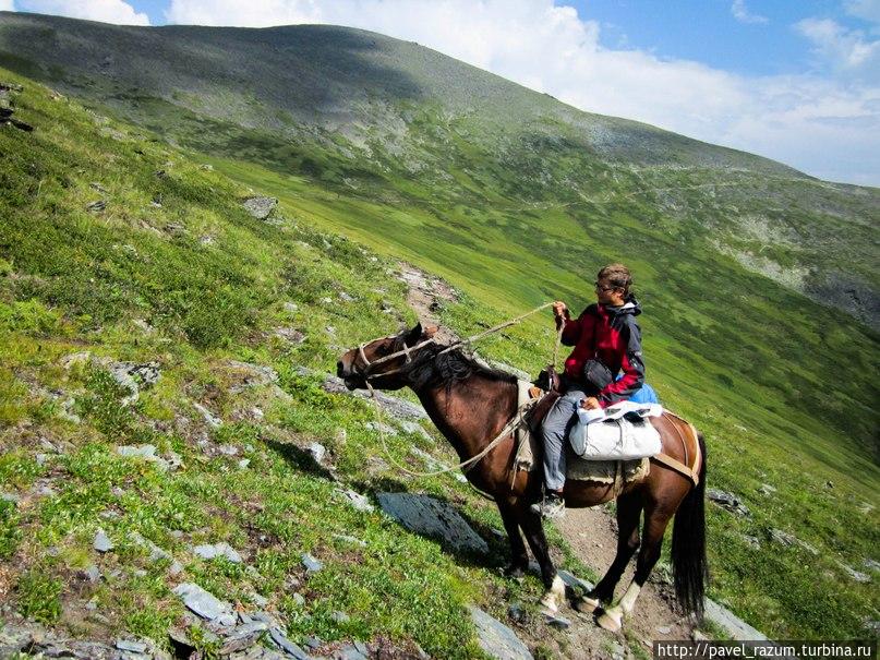 Способы перемещения