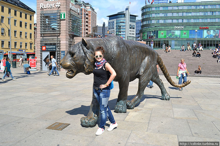 Вот такой тигрище...