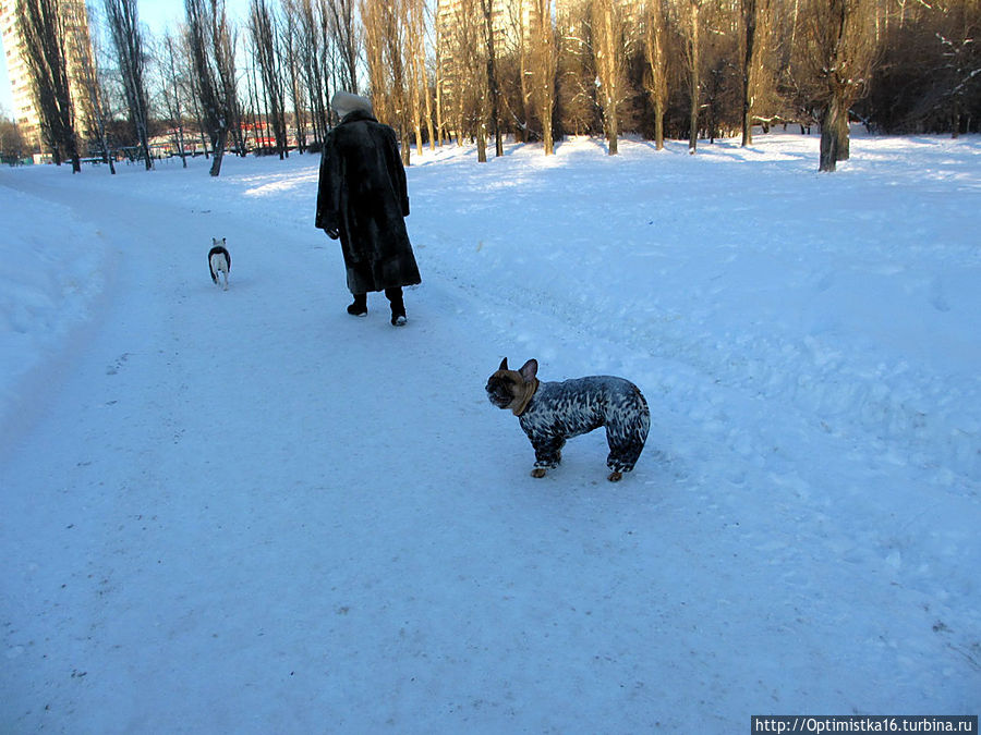 Вот моя деревня: вот мой дом родной... Москва, Россия