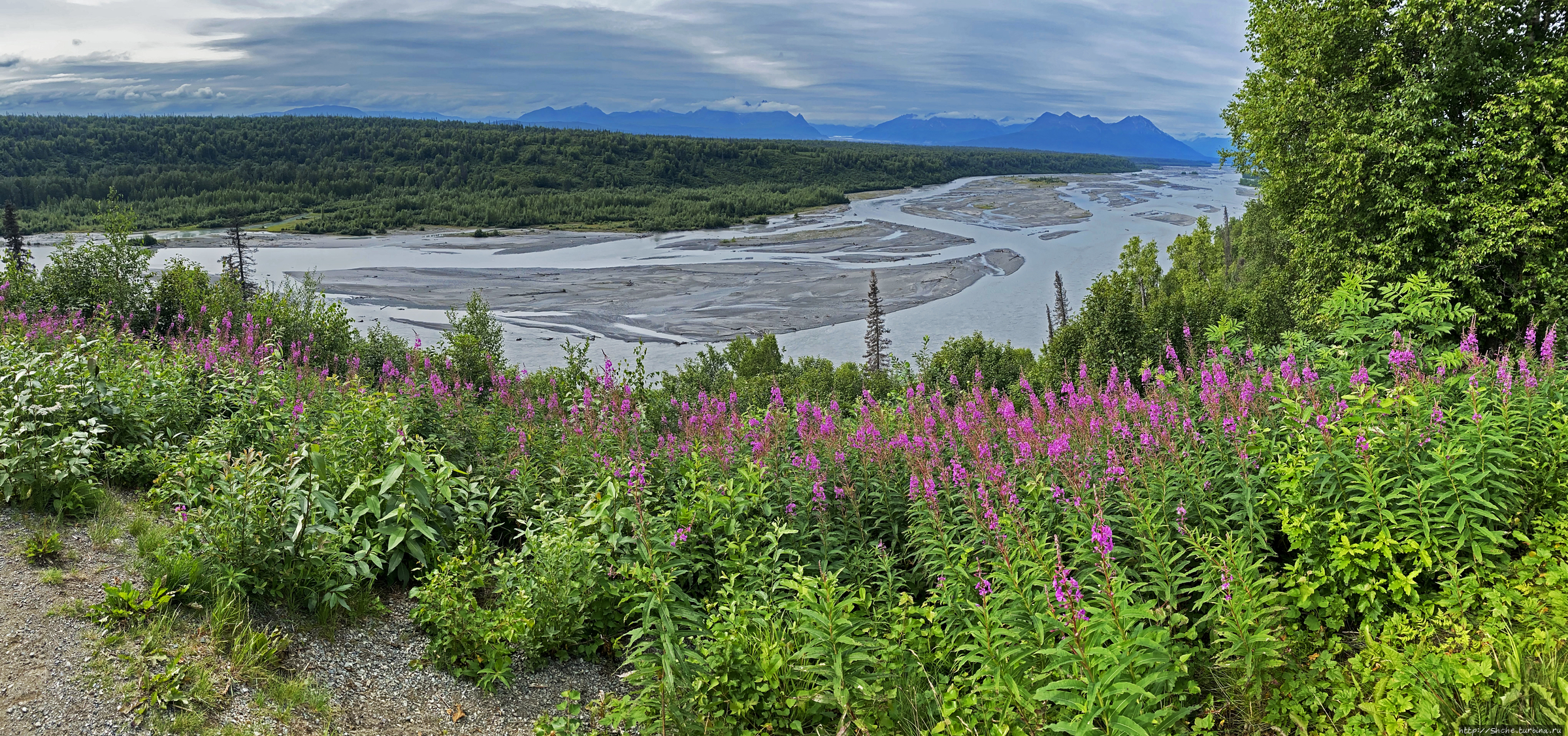 Южный вьюпоинт Денали / Denali Viewpoint South