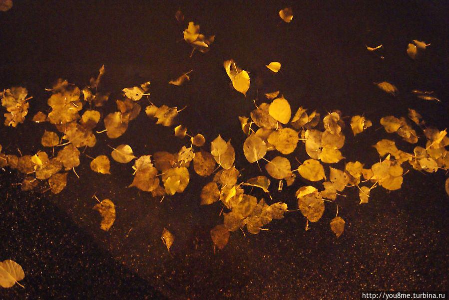 Ночь. Улица. Фонарь Москва и Московская область, Россия