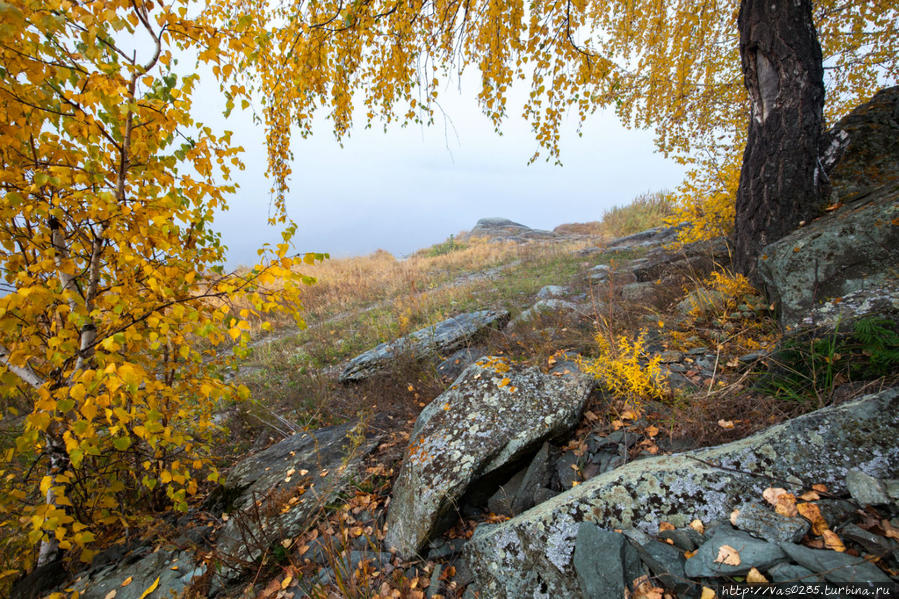 Кузбасс