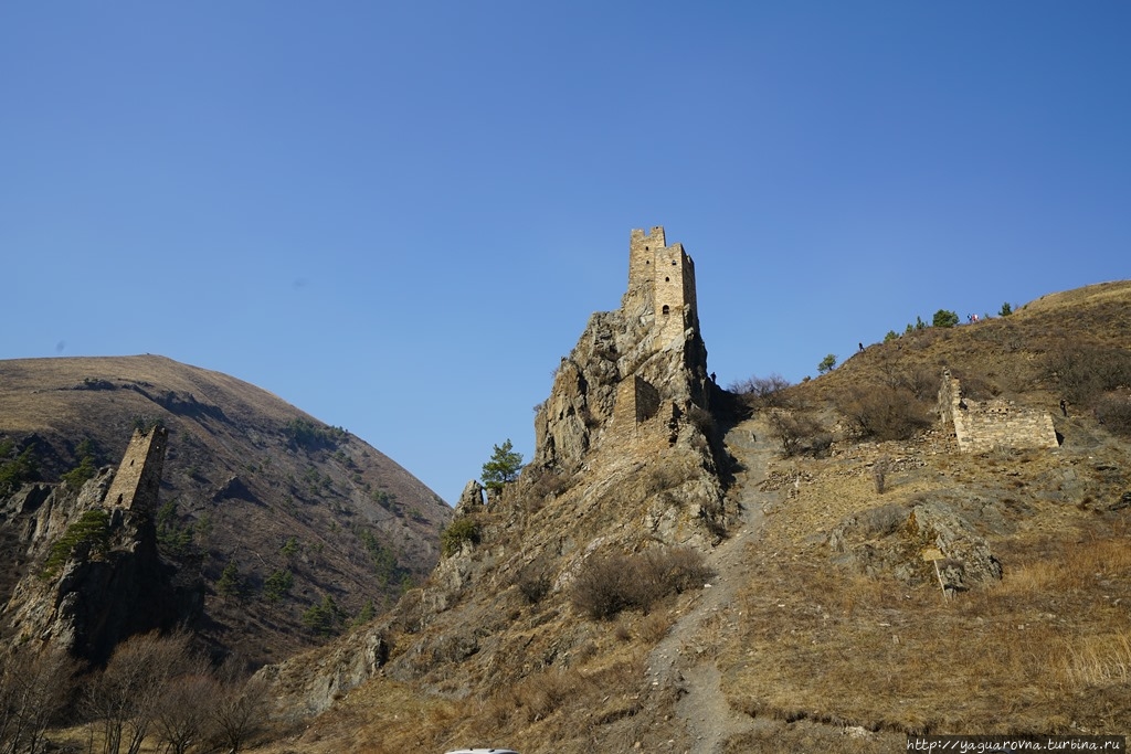 Вовнушки Вовнушки (замковый комплекс), Россия