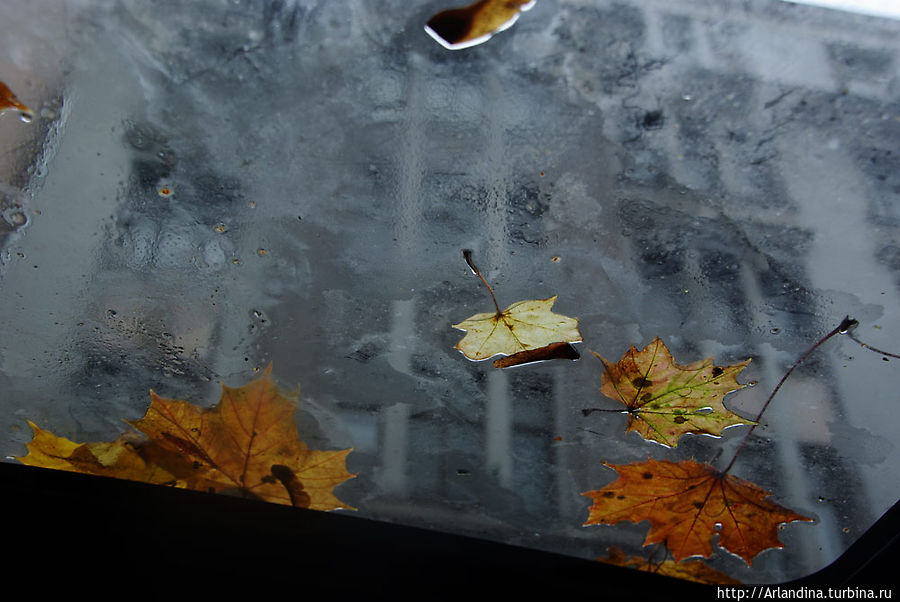 Осенняя Рига Рига, Латвия