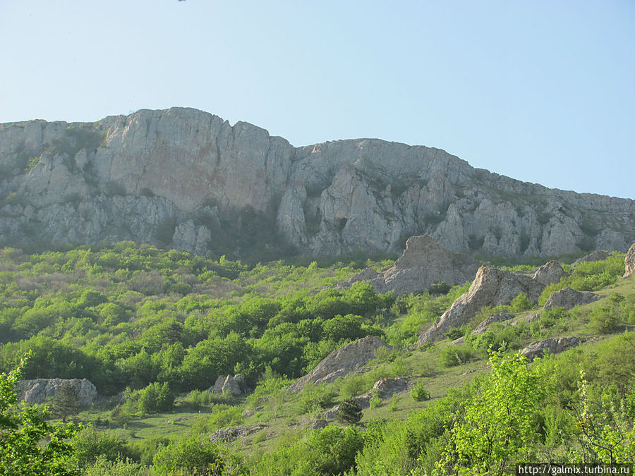 Мумия огромная с открытым лицом и большим лбом в морщинах, со скошенным носом на Караби.