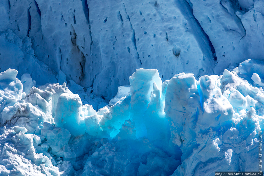 Исследуя Патагонию: людоеды Эль-Калафате, Аргентина