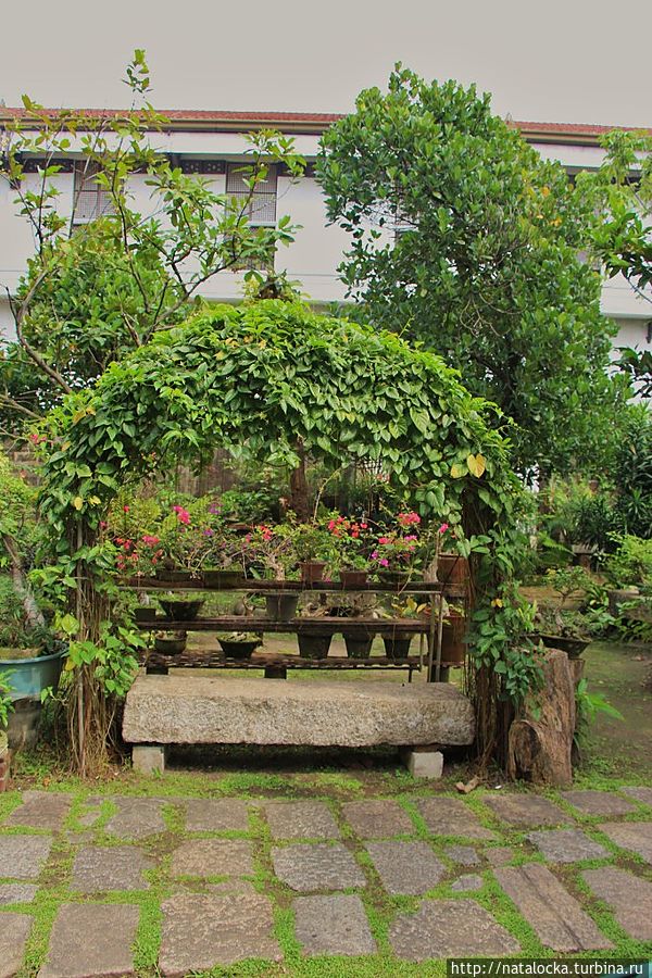 Сад Бонсай в Маниле Манила, Филиппины