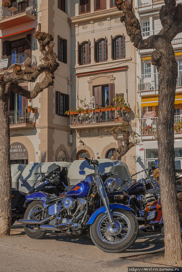 Январь в Сиджес Ситжес, Испания