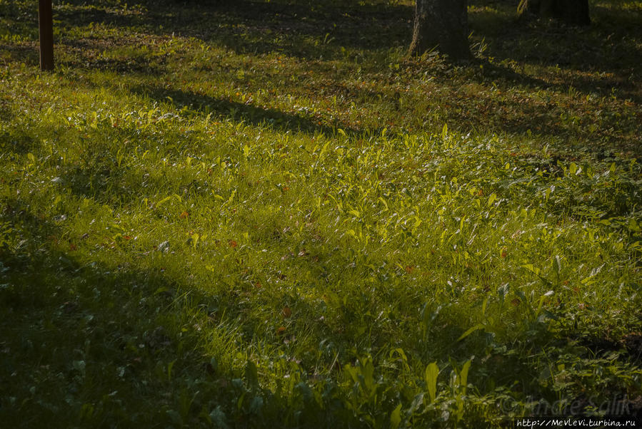 Тропа не для слабых Кемери, Латвия