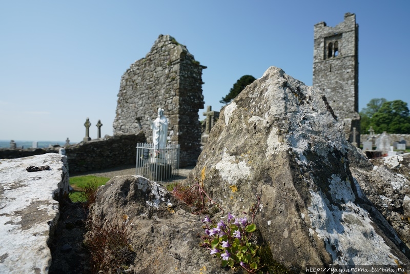 Холм с руинами у Слэйна Слэйн, Ирландия